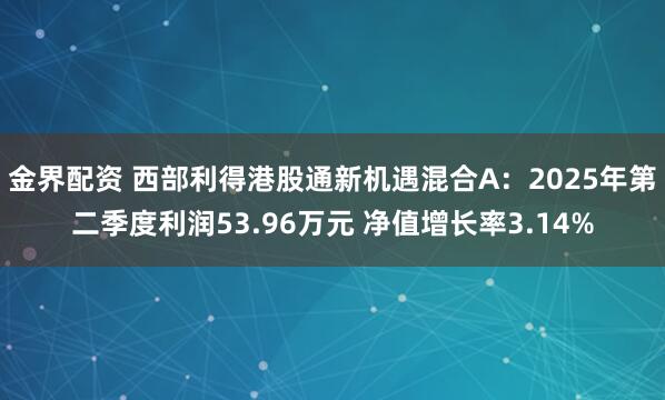 金界配资 西部利得港股通新机遇混合A：2025年第二季度利润53.96万元 净值增长率3.14%