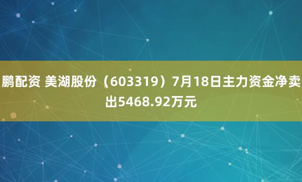 鹏配资 美湖股份（603319）7月18日主力资金净卖出5468.92万元