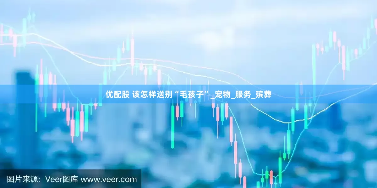 优配股 该怎样送别“毛孩子”_宠物_服务_殡葬