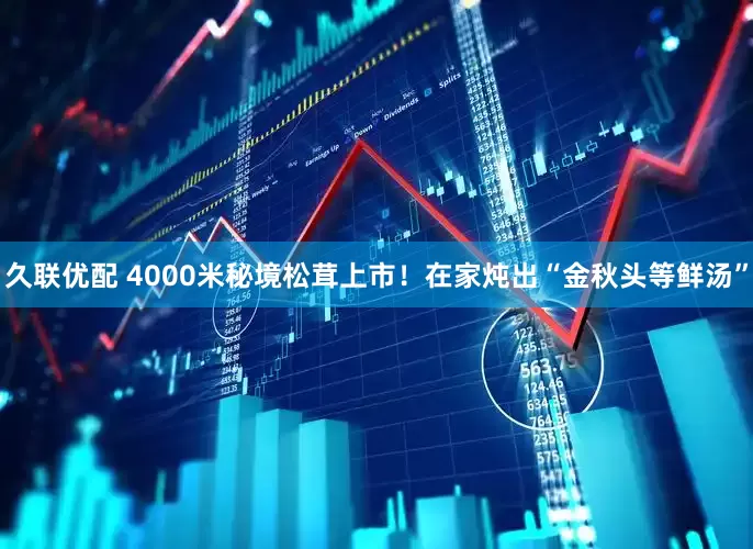 久联优配 4000米秘境松茸上市！在家炖出“金秋头等鲜汤”
