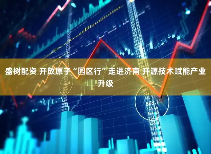盛树配资 开放原子“园区行”走进济南 开源技术赋能产业升级